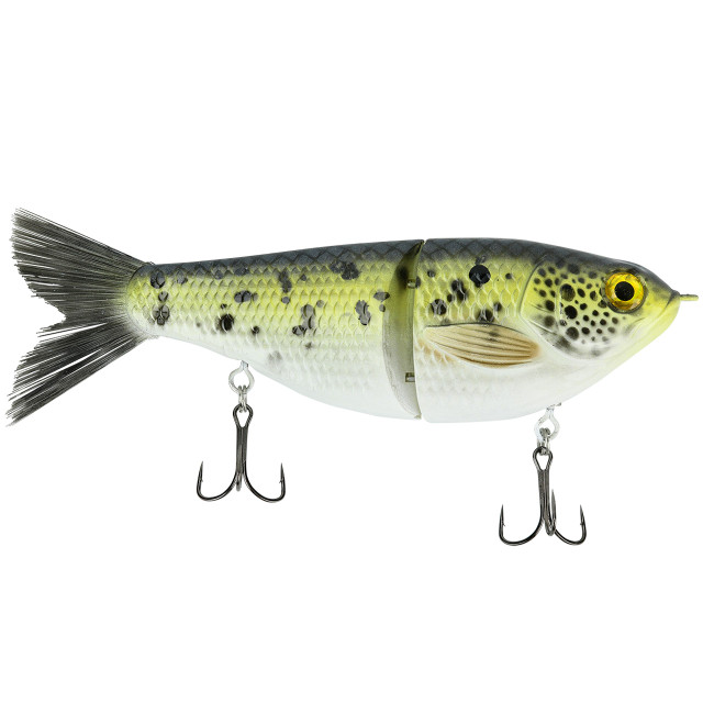 Spro KGB Chad Shad 180 Gizzard Shad