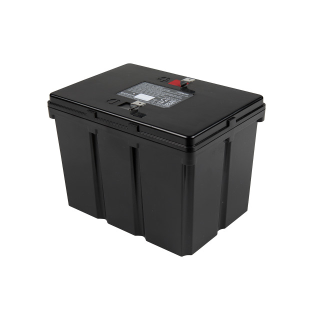 Garmin Lithium-Ion Battery with Charger