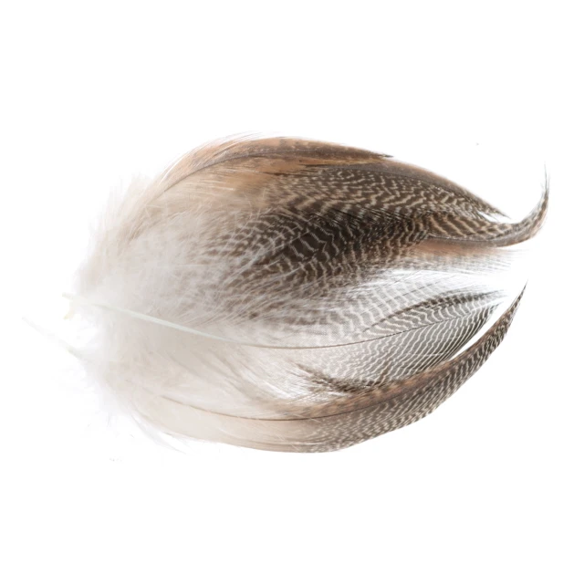 Wapsi Gadwall Barred Flank Feathers