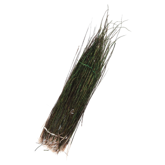 Wapsi Strung Peacock Herl