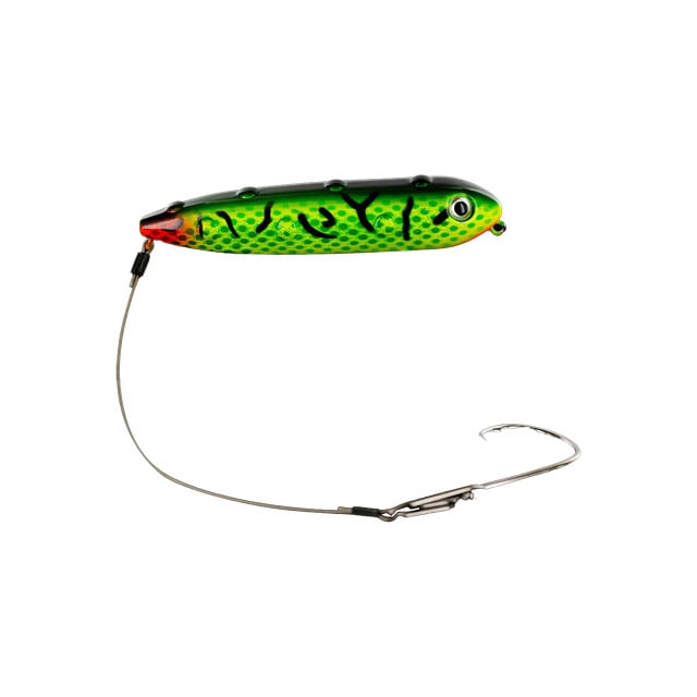 Whisker Seeker Ultra Chub Float Rig color Tiger
