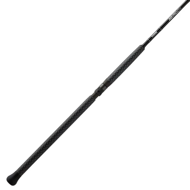 G. Loomis IMX-PRO Salmon Spinning Rod