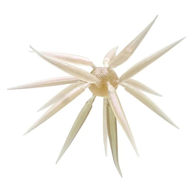 Hideup Coike Fish Elastomer M Urchin Bait