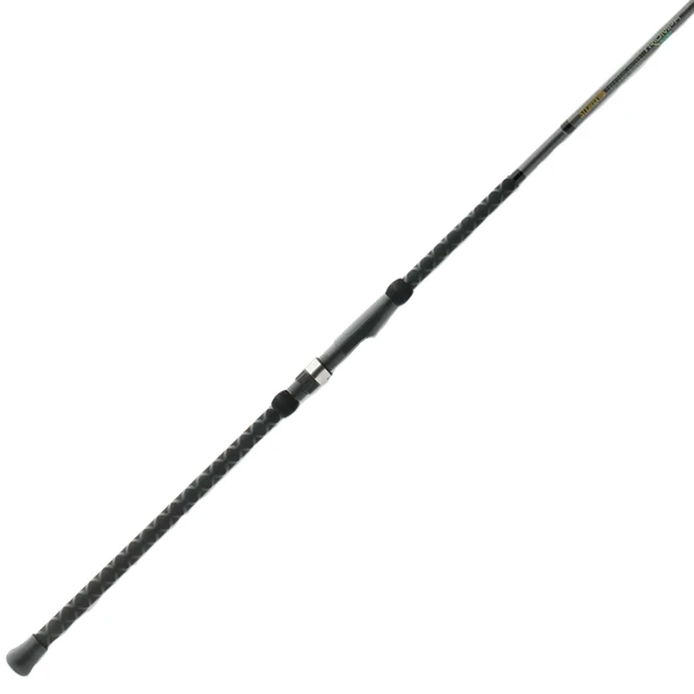 St. Croix Triumph Surf Spinning Rod