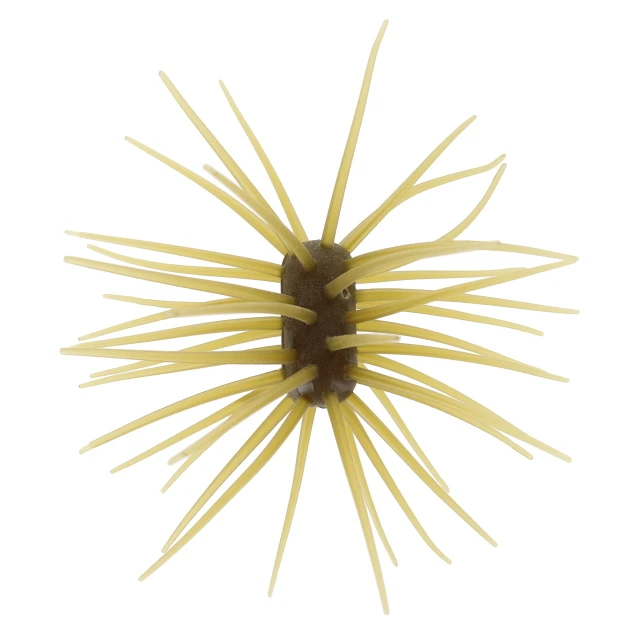 Duckett Yen Ashi Urchin Bait