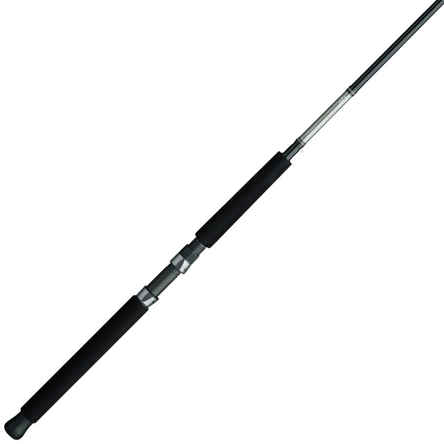 Daiwa AccuDepth Downrigger Trolling Rod – Natural Sports - The Fishing Store