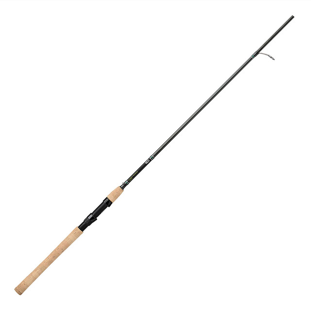 Bell Alarm is on Fishing Rod Spinning in Nature Bells of Allure are  Attached To the End of the Fishing Spinning Stock Photo - Image of fish,  catch: 304849722