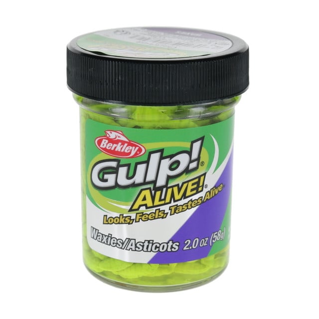 Berkley Gulp! Alive! Waxies color Chartreuse in the jar