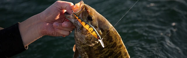 The Best Bass Fishing Retrieval Methods for Different Lures & Conditions