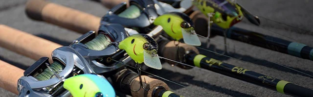 Best Crankbait Reels for Bass Fishing