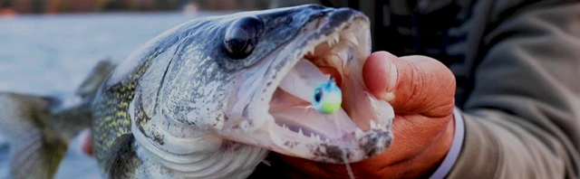 Best Fall Walleye Fishing Lures: Proven Baits and Techniques for Success