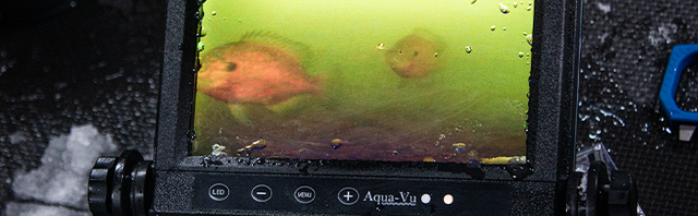 See Beneath the Ice: Best Underwater Cameras for Ice Fishing