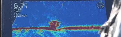 Crappie Fishing with Livescope - Techniques, Tips, and Tackle For Success