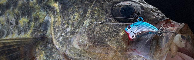 Ice Fishing for Crappie on Small Lakes: Location, Gear, and Tactics