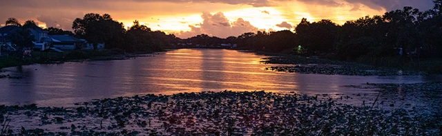 Lake Okeechobee Fishing: The Ultimate Guide