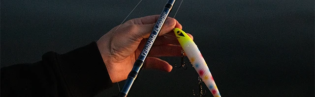 Complete Night Shore Walleye Setup