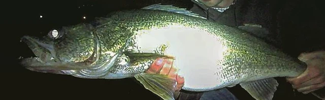 Casting for Walleye from Shore at Night