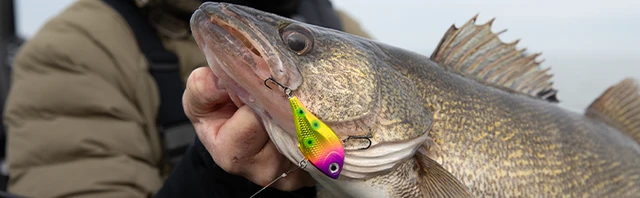 Snaps vs Direct Tie for Walleye (When to Use Each)