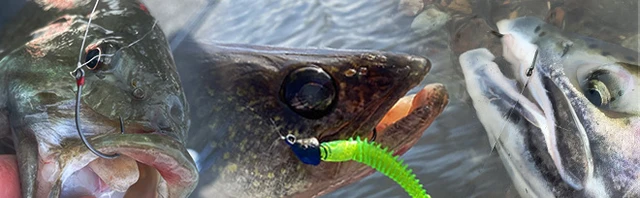 The Mustad Alpha Point Hooks - Everything You Need To Know