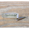 Megabass Great Hunting GH Heavy Duty Crankbait color Takumi Iwana with Megabass Packaging on Wood Table