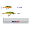 Rapala CountDown Elite Crankbait color Gilded Firetiger in both sizes (2 1/4 in., 3 in.) above a 6 inch FishUSA ruler 