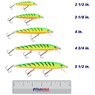 Rapala Husky Jerk color Firetiger in all sizes (2 1/2 in., 3 1/8 in., 4 in., 4 3/4 in., 5 1/2 in.) above a 6 inch FishUSA ruler