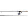 Daiwa Legalis LT Spinning Combo full rod and reel combo in 2 pieces