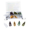 Leland's Lures Trout Slayer Kit image Open Box with All Contents on Display