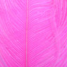 Wapsi Ostrich Herl Florescent Pink 