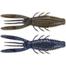 Rapala CrushCity Bronco Bug color Bama Bug top and bottom view