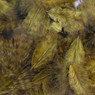 Wapsi Grizzly Marabou color Olive