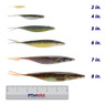 Deps Sakamata Shad Soft Jerkbait in color Wakasagi (2 in.), Silver Shiner (4 in.), Watermelon Pro Blue (5 in.), and Golden Shiner (6 in.), Pearl Wakasagi (7 in.), Real Baby Bass (8 in.)  above a 6 inch FishUSA ruler