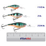 Rapala Glass Shad Rap Glass color Glass Perch in all sizes (1 1/2 in., 2 in., 2 3/4 in.) above a 6 inch FishUSA ruler