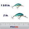 Salmo Floating Hornet Crankbait size comparison of 1 5/8 in. and 2 in. color Holographic Blue Sky over FishUSA ruler