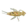 ADK Custom Jigs Stonefly Plastic Soft Baits color Copperhead
