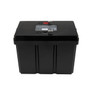 Garmin Lithium-Ion Battery with Charger front and top