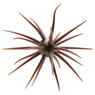 Hideup Coike JDM Fullcast Urchin Bait color Green Pumpkin 