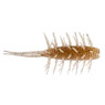 Hideup Coike Medium Shrimp color Ebi Dappi