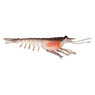 Nomad Design Live Ops Switcher Shrimp Softbait color Brown Flasher