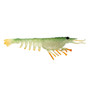 Nomad Design Live Ops Switcher Shrimp Softbait color Green Ghost Stalker