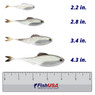 6th Sense Fiction Shad color Ghost Pro Shiner in all sizes (2.2 in., 2.8 in., 3.4 in., 4.3 in.) above a 6 inch FishUSA ruler