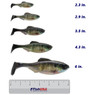 6th Sense Panorama Swimbait color Live Bluegill in all sizes (2.3 in., 2.9 in., 3.5 in., 4.3 in., 6 in.) above a 6 inch FishUSA ruler