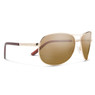 Suncloud Eyewear Aviator Polarized Sunglasses color Gold - Polarized Brown
