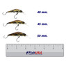 Jackson Kanade Crankbait