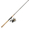 Penn Battle IV Spinning Combo with cork handle 