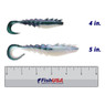 Berkley Gulp! Saltwater Nemesis Prawn Curl Tail color Ocean Shift in both sizes (4 in., 5 in.) above a 6 inch FishUSA ruler
