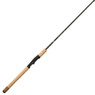 Fenwick Eagle Inshore Spinning Rod model EGLINS70ML-FS handle type A