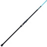 Shakespeare Ugly Stik Carbon Surf Spinning Rod
