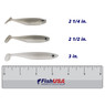 Food Chain Foundation Minnow color Shiner in all sizes (2 1/4 in., 2 1/2 in., 4 in.) above a 6 inch FishUSA ruler