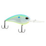 Jenko CD20 Deep Diving Crankbait color Citrus Shad